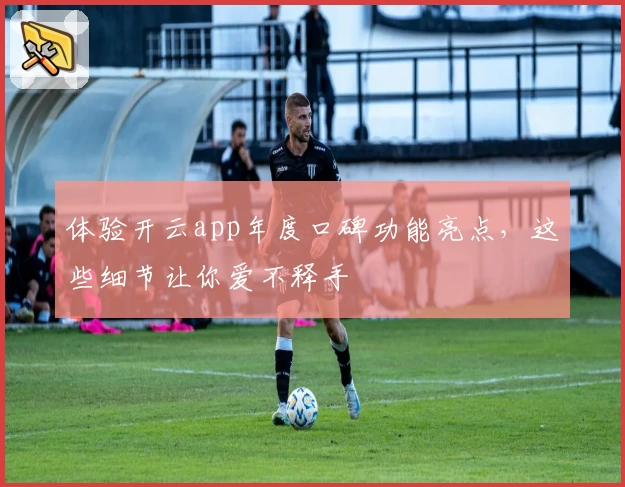 体验开云app年度口碑功能亮点，这些细节让你爱不释手