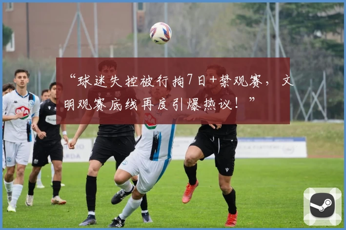 “球迷失控被行拘7日+禁观赛,文明观赛底线再度引爆热议!”