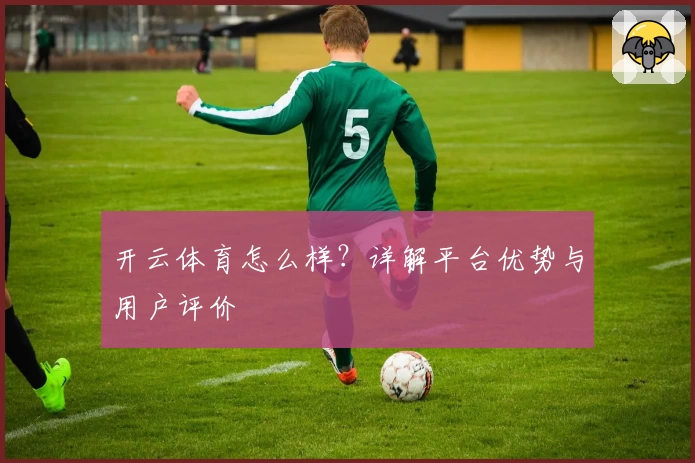 开云体育怎么样？详解平台优势与用户评价