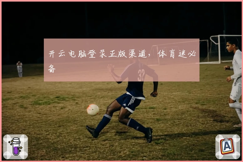 开云电脑登录正版渠道，体育迷必备